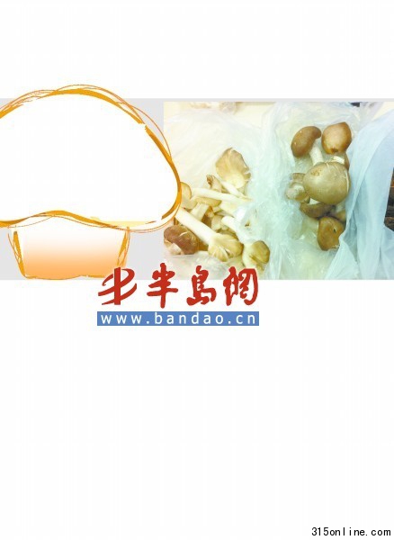 記者從市場(chǎng)上買(mǎi)回來(lái)的幾種嶗山蘑菇 記者從市場(chǎng)上買(mǎi)回來(lái)的幾種嶗山蘑菇