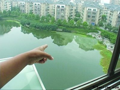 昨天江寧百家湖西南角再次出現“牛奶污水”。 昨天江寧百家湖西南角再次出現“牛奶污水”。