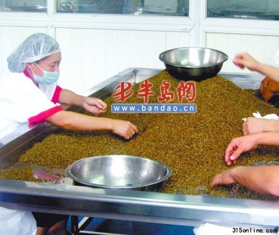 轉自半島網-城市信報。